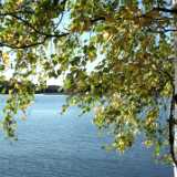 DSCF8277