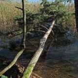 DSCF8285
