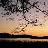 DSCF8291