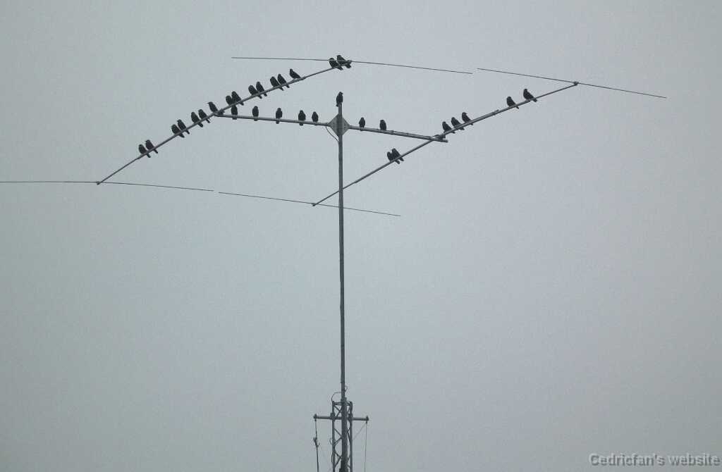 DSCF8457