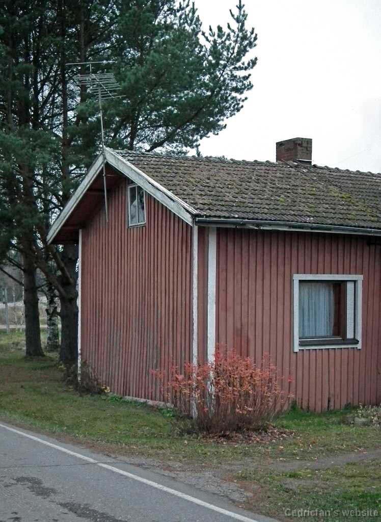 DSCF8462