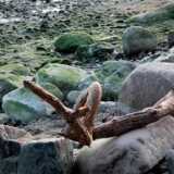 DSCF8477