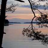 DSCF8490