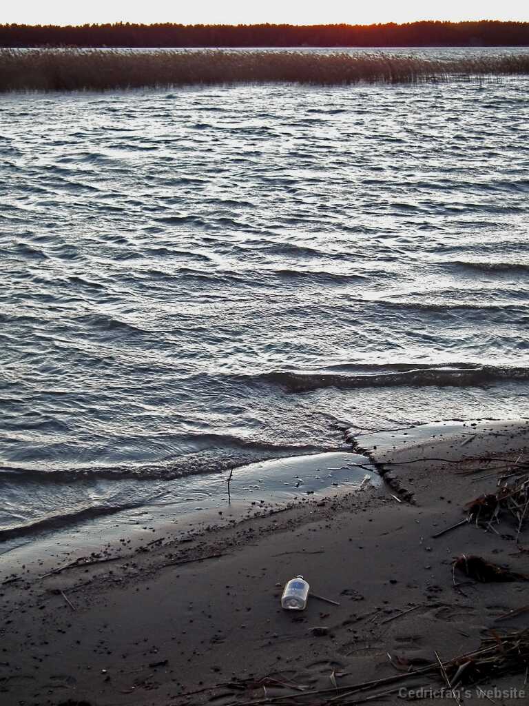 DSCF8507