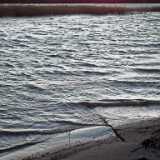 DSCF8507