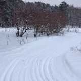 11 01 Winter Ruissalo