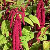 11 10 Autumn Ruissalo & Kuusisto