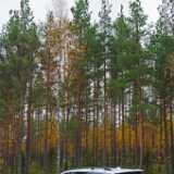 VolvoXC70 (1)