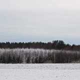 DSCF7373