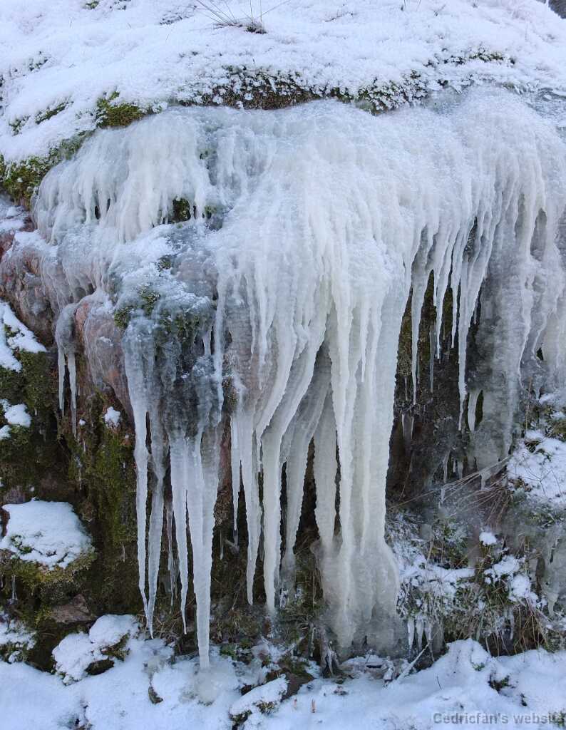 DSCF7336
