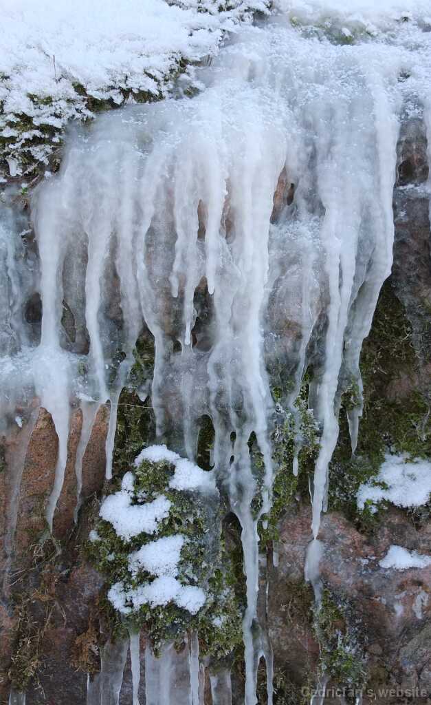 DSCF7337