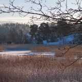 DSCF7332