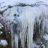 DSCF7336