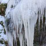 DSCF7339