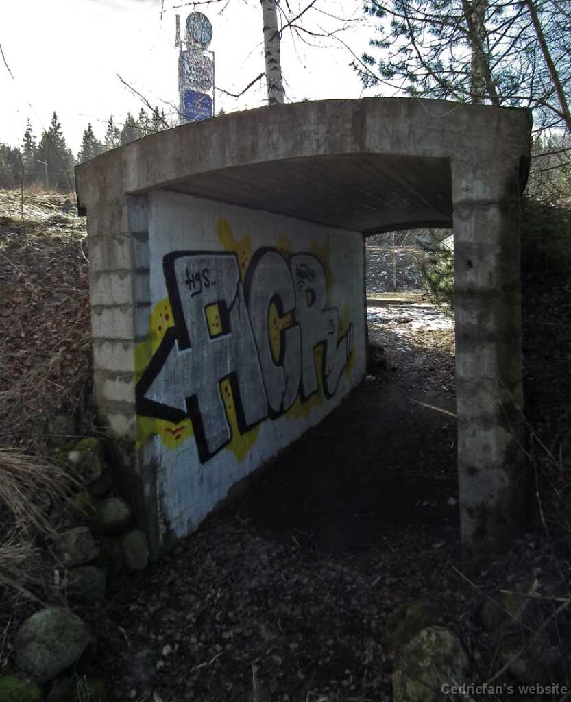 DSCF3293