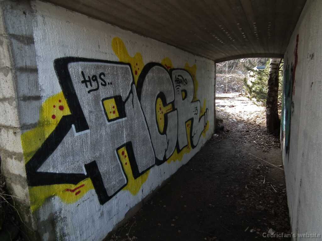 DSCF3295