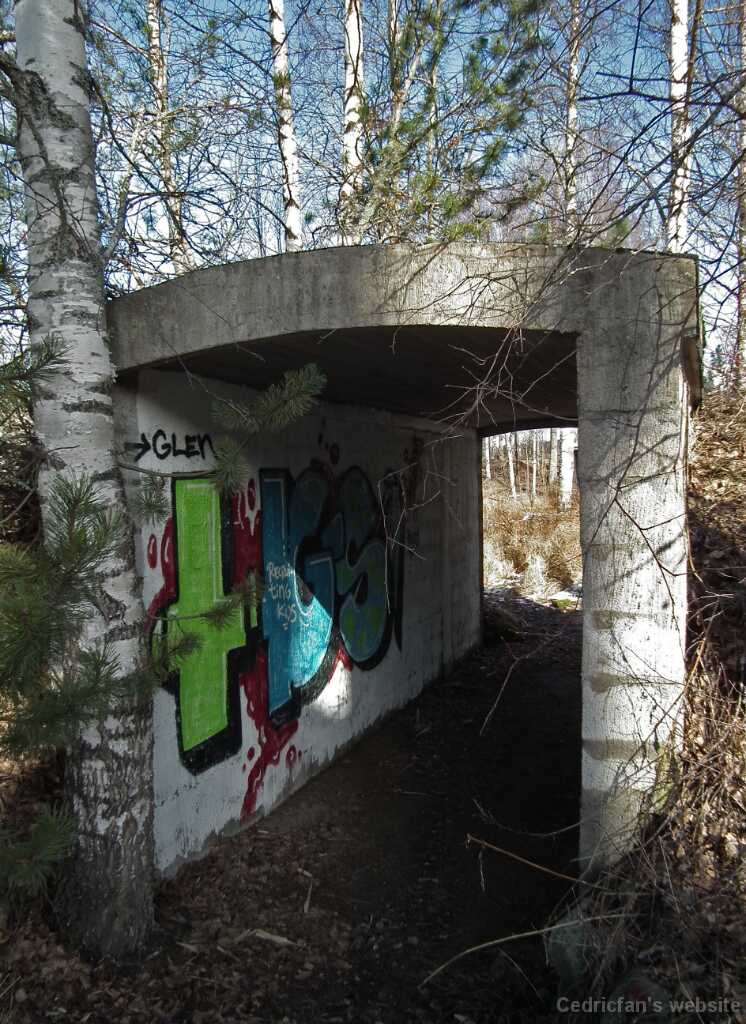 DSCF3296