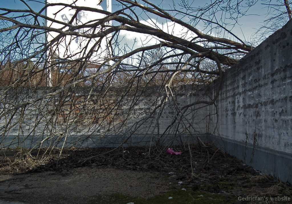 DSCF3306