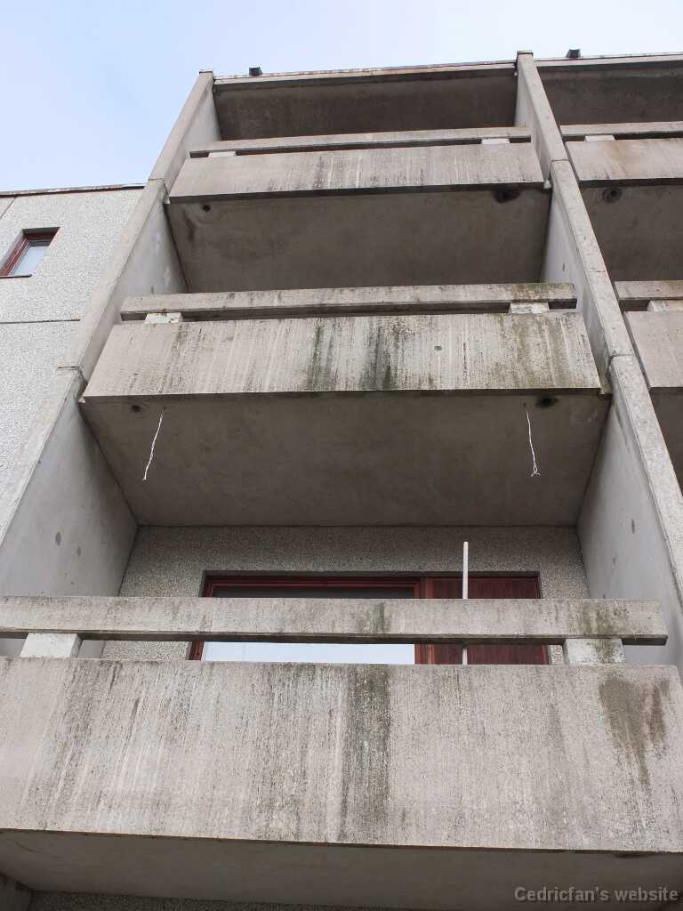 DSCF3410