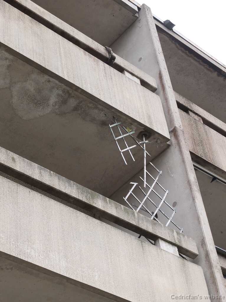 DSCF3343