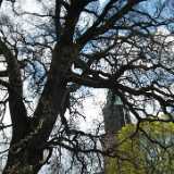 DSCF3401