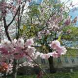 DSCF3405