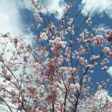 DSCF3406