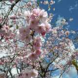 DSCF3407