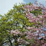 DSCF3412