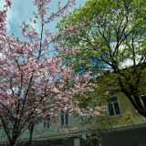 DSCF3414
