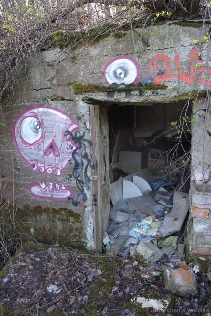DSCF3960