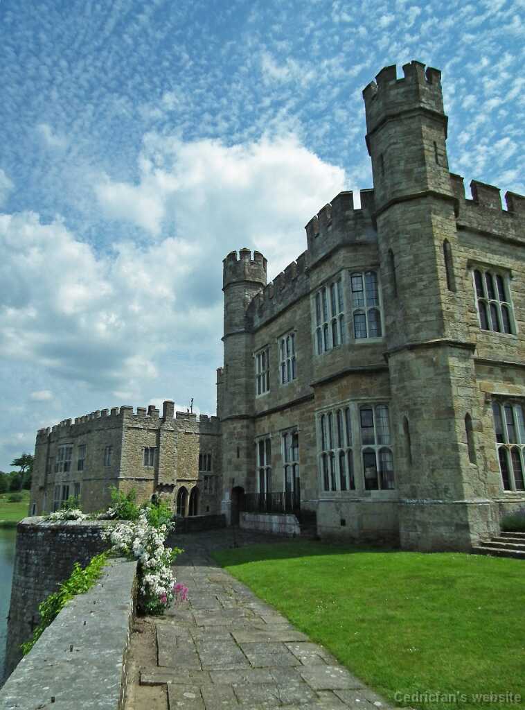 DSCF3929