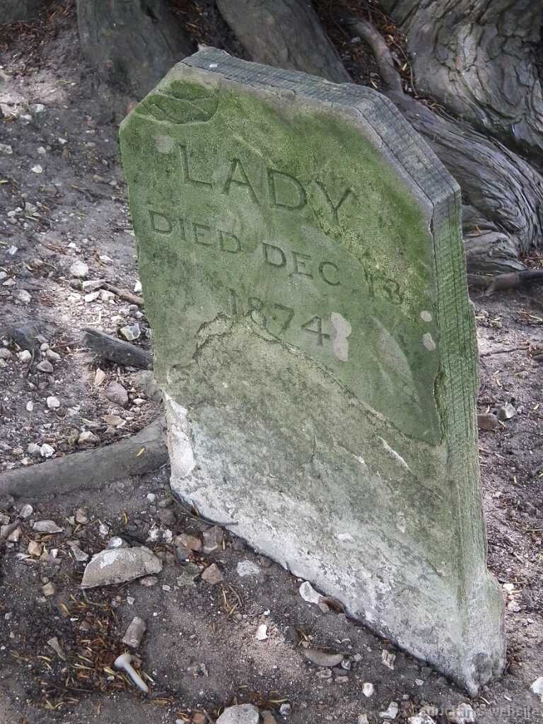DSCF3862