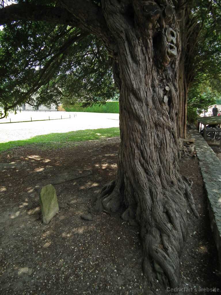 DSCF3863