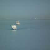 DSCF3992