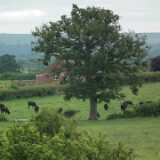 DSCF4192