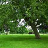 DSCF4328