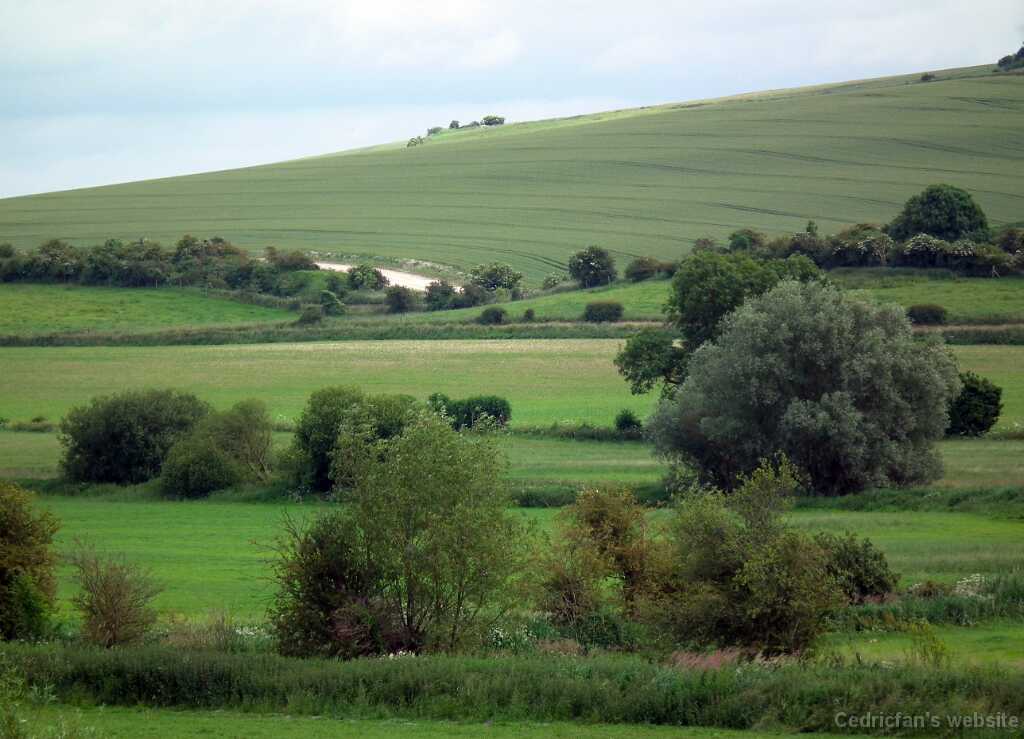 DSCF4295