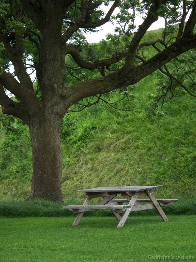 DSCF4227
