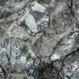DSCF4235