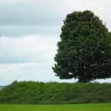 DSCF4266