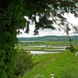 DSCF4269