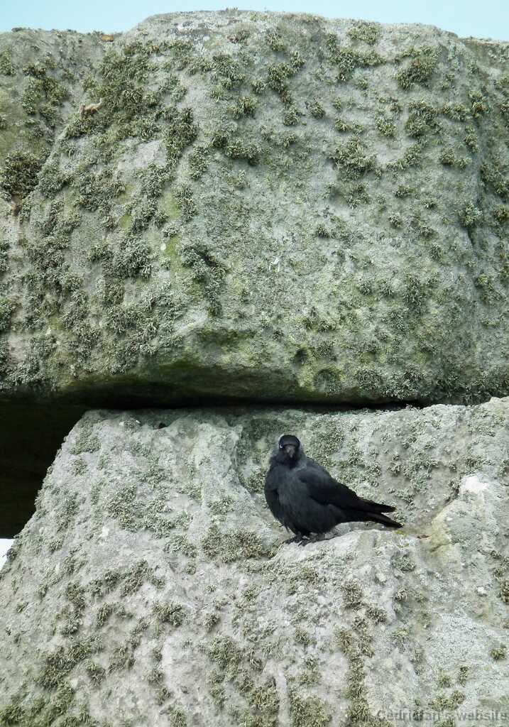 DSCF4151
