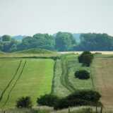 DSCF4144