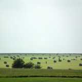 DSCF4160