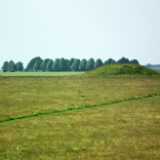 DSCF4161