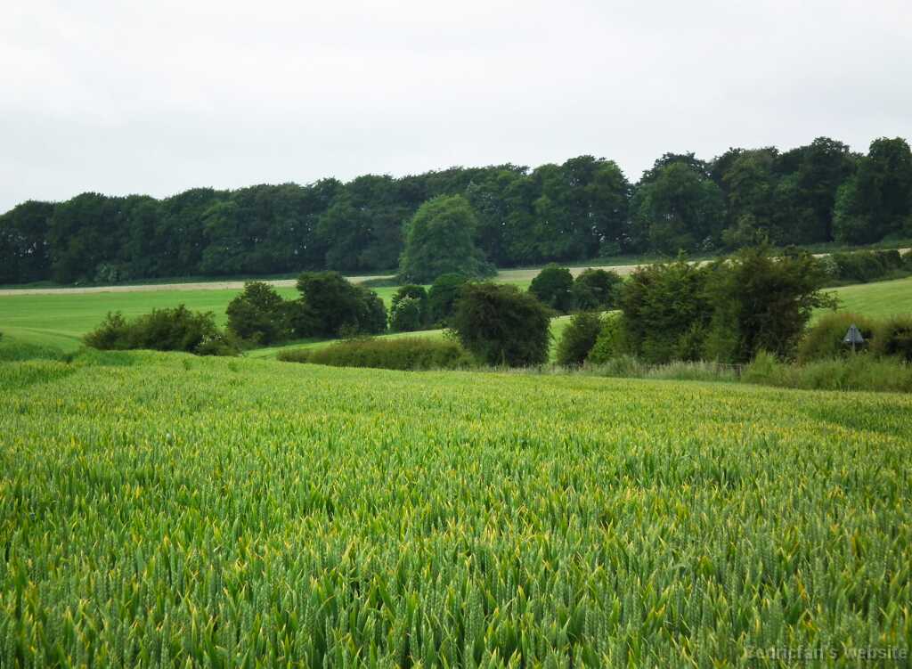 DSCF4216