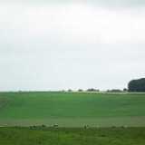 DSCF4209