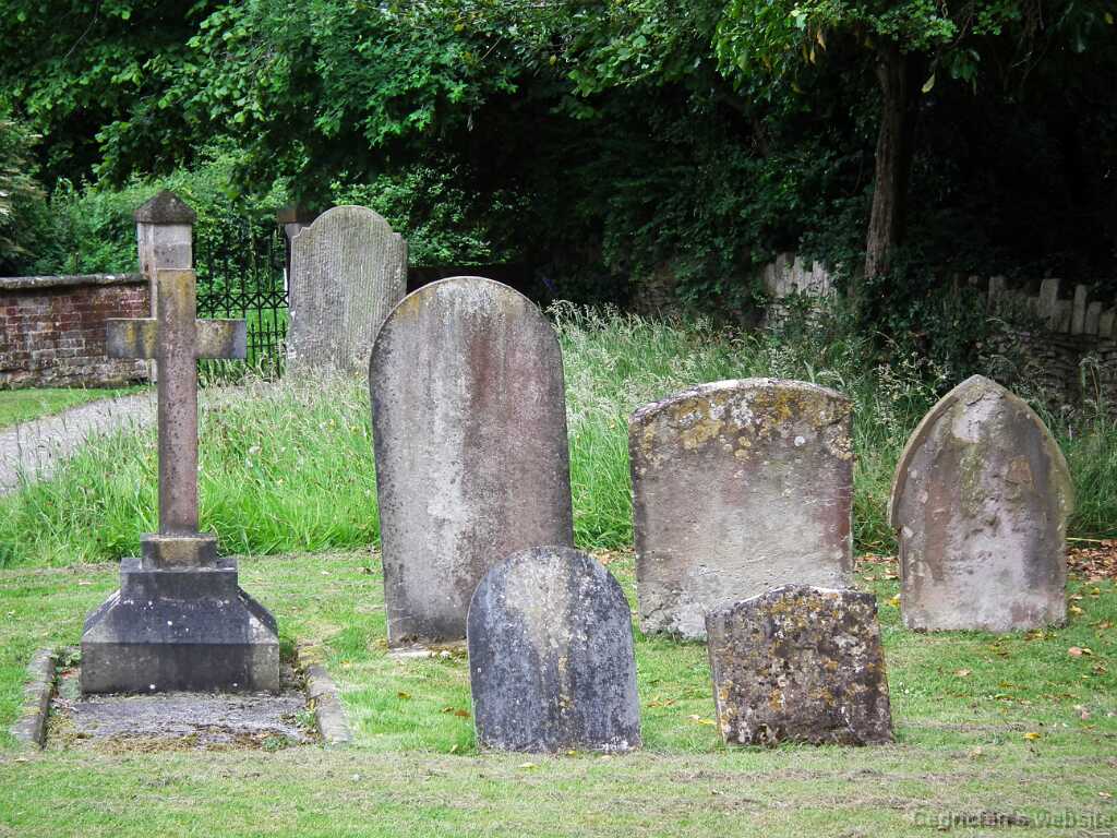 DSCF4173