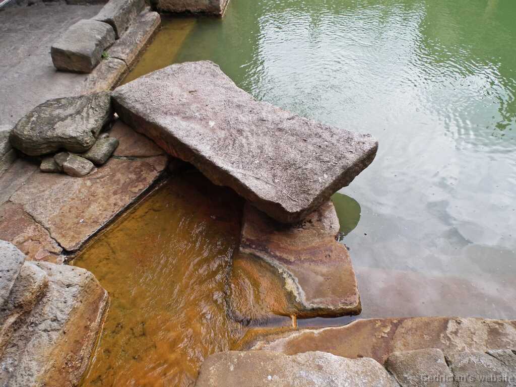 DSCF4390